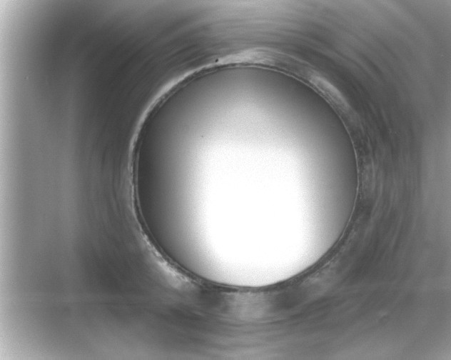 X0000069360800200605150915