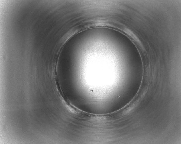 X0000069360801200605150915