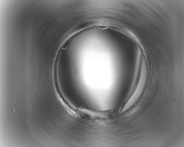 X0000069360803200605150915