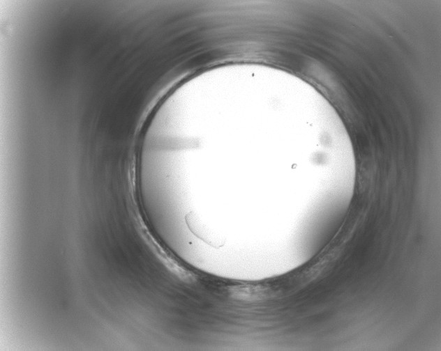 X0000069360804200605150915