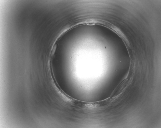 X0000069360805200605150915