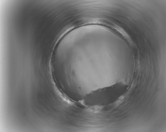 X0000069360806200605150915