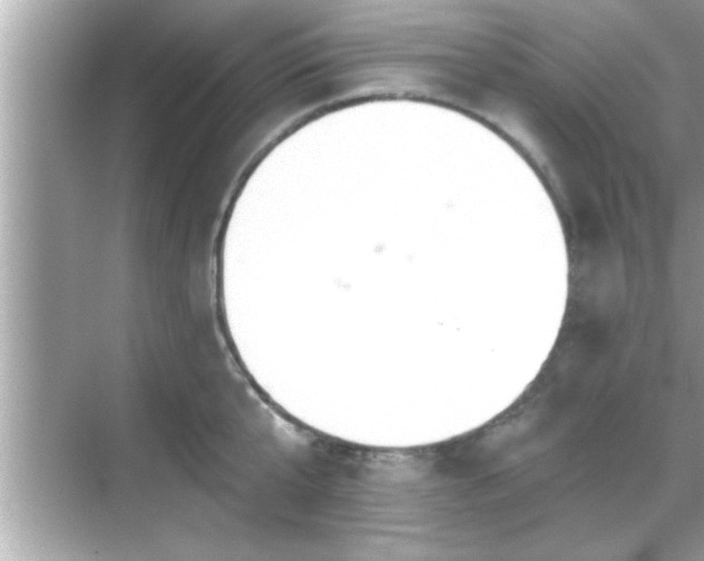 X0000069360807200605150915