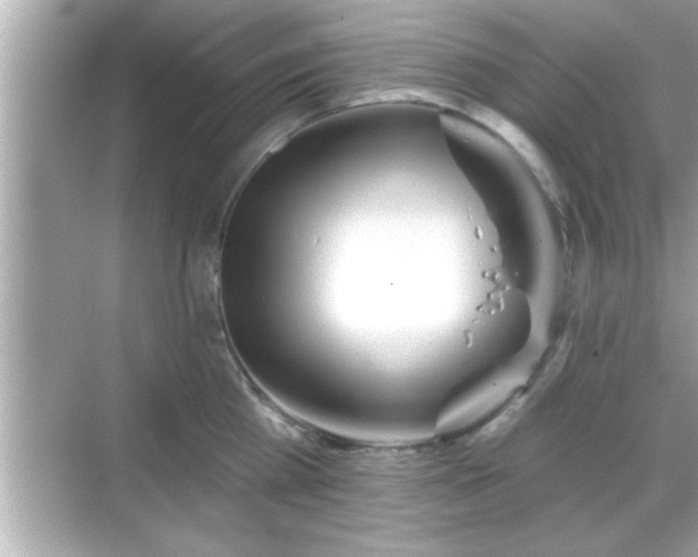 X0000069360809200605150915