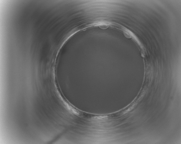 X0000069360810200605150915