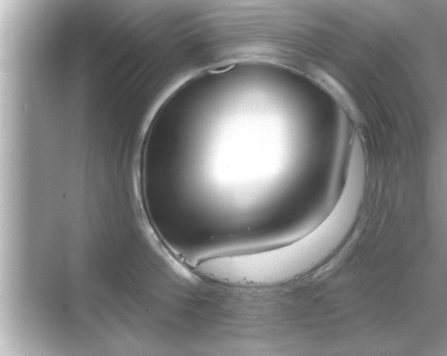 X0000069360812200605150915