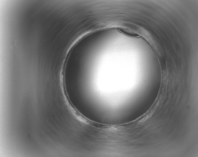 X0000069360814200605150915