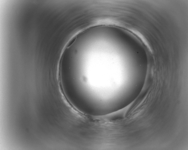 X0000069360815200605150915