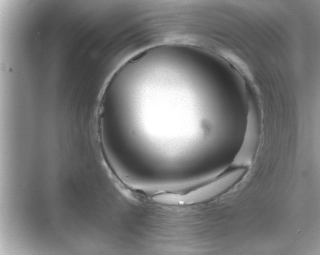 X0000069360816200605150915