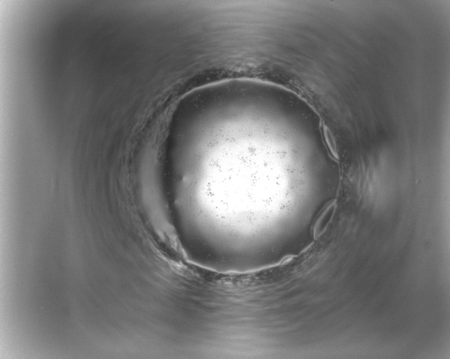 X0000069360817200605150914