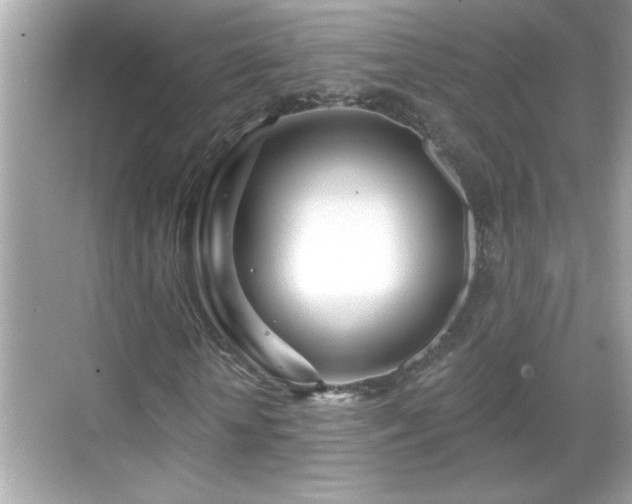 X0000069360818200605150914