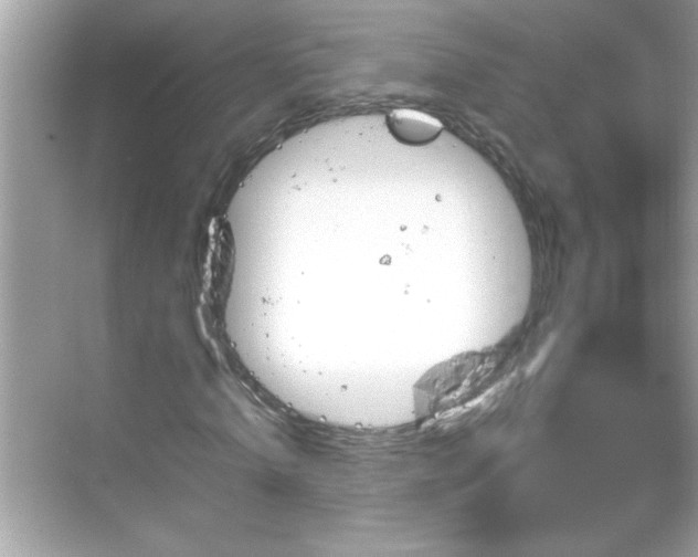 X0000069360820200605150914