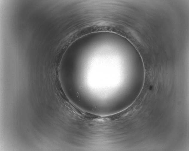 X0000069360821200605150914