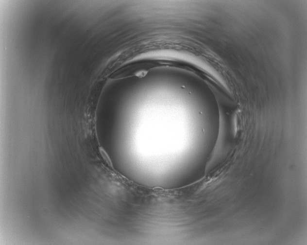 X0000069360822200605150914