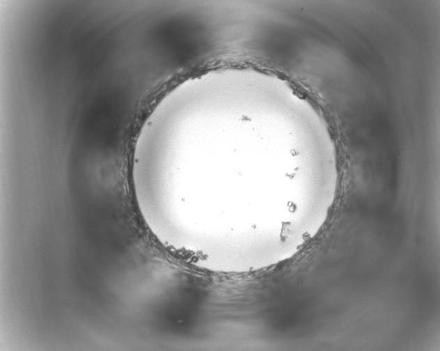 X0000069360824200605150914