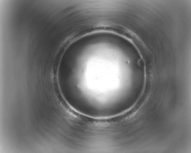 X0000069360825200605150914