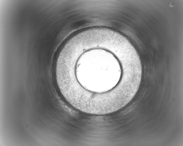 X0000069360828200605150914