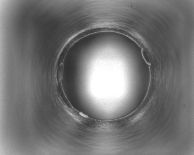 X0000069360830200605150914