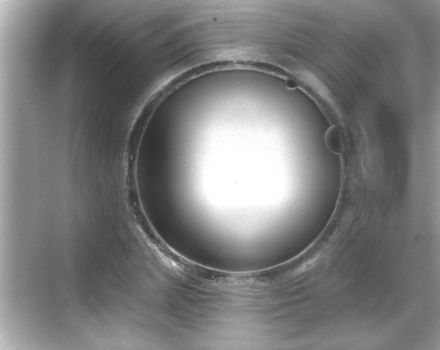 X0000069360831200605150914