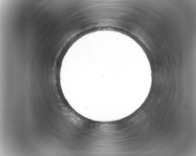 X0000069360832200605150914