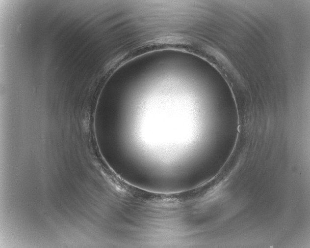 X0000069360833200605150914