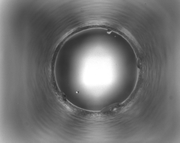 X0000069360834200605150914