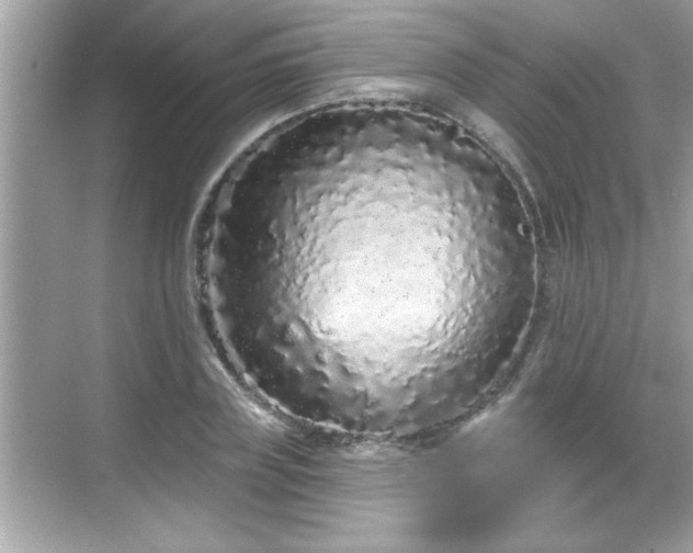 X0000069360835200605150914