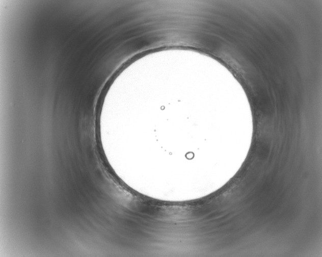 X0000069360836200605150914