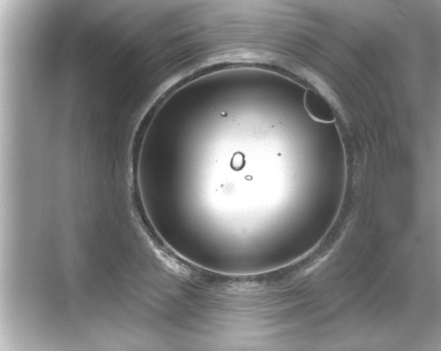 X0000069360837200605150914