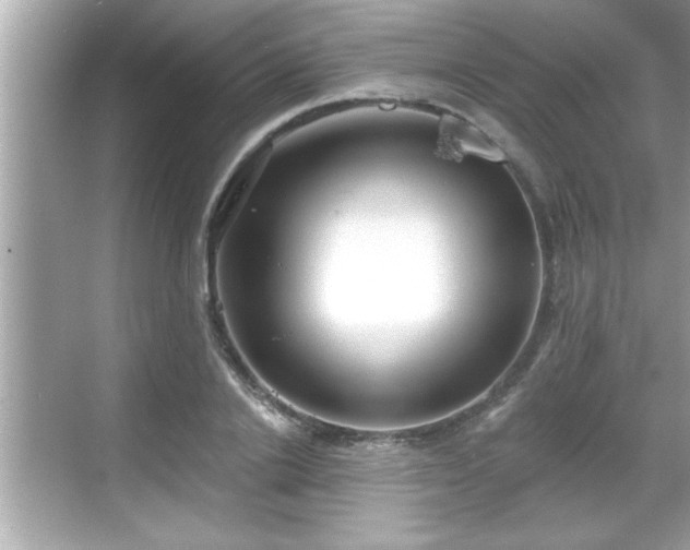 X0000069360838200605150914