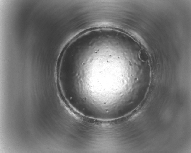 X0000069360839200605150914