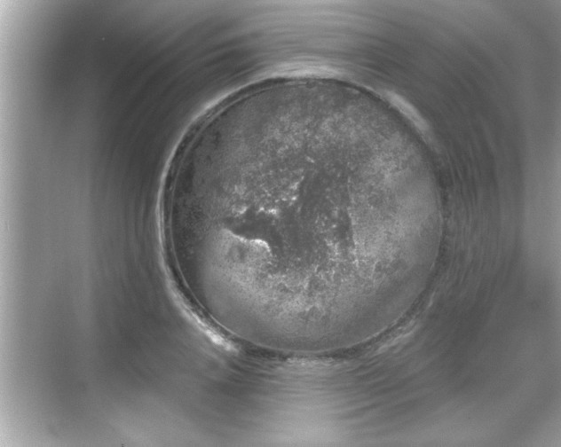 X0000069360840200605150914