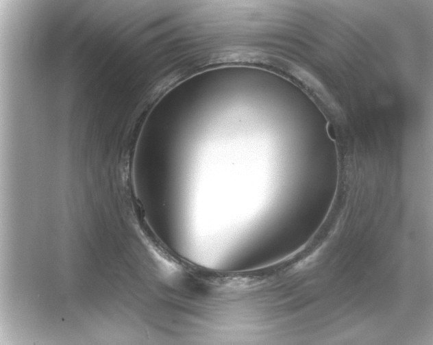 X0000069360841200605150914