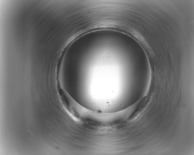 X0000069360842200605150914