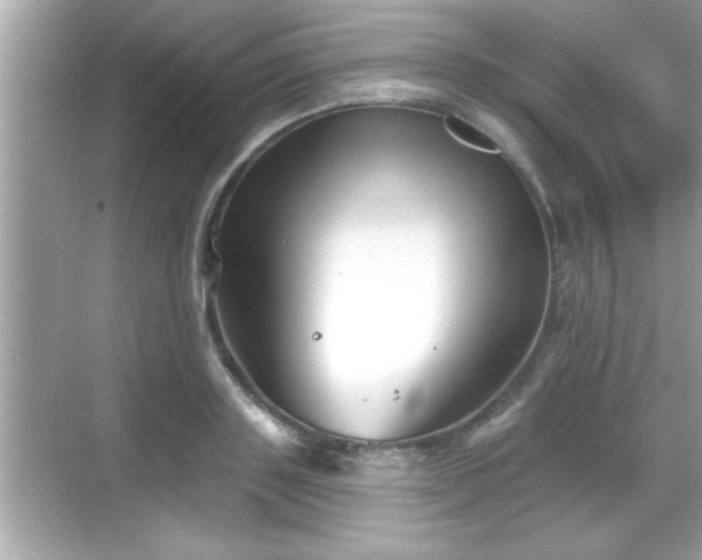 X0000069360843200605150914