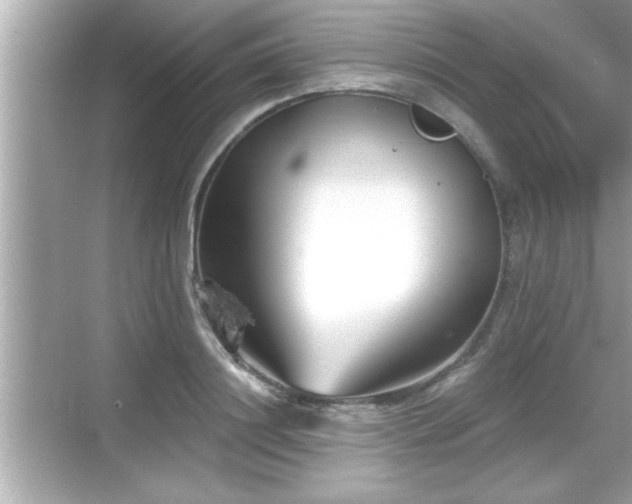 X0000069360844200605150914