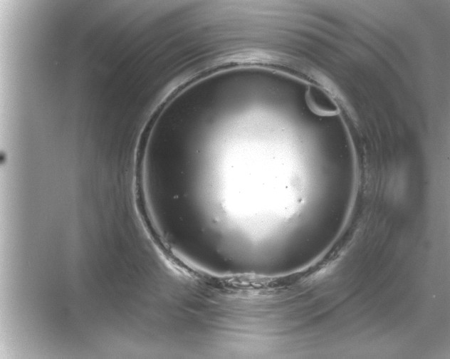 X0000069360845200605150914