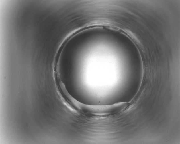 X0000069360846200605150914