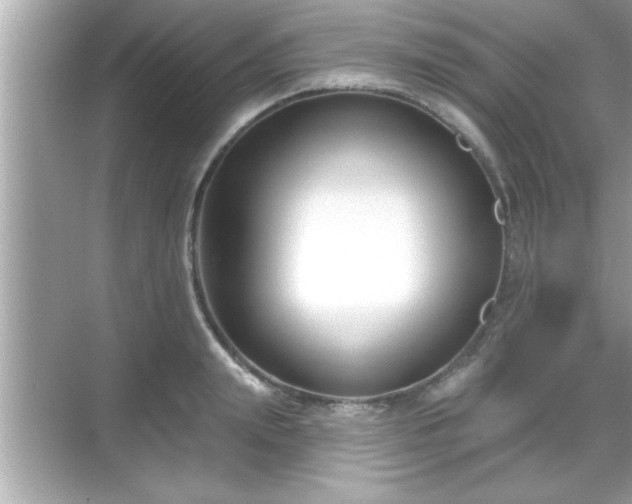 X0000069360847200605150914