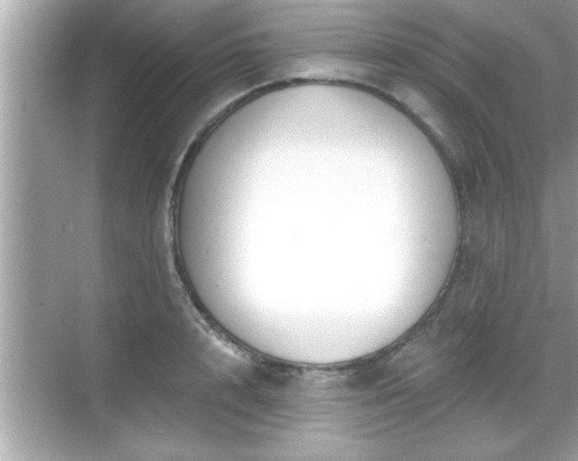 X0000069360848200605150914