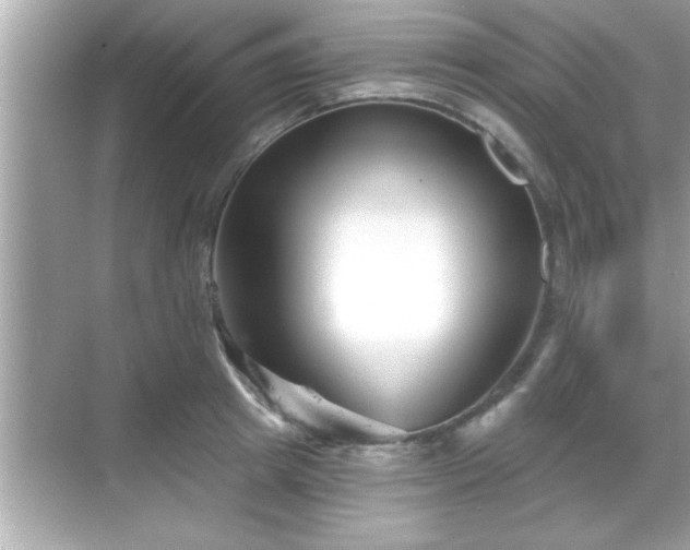 X0000069360849200605150914