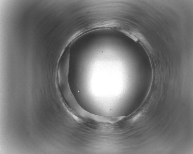 X0000069360850200605150914