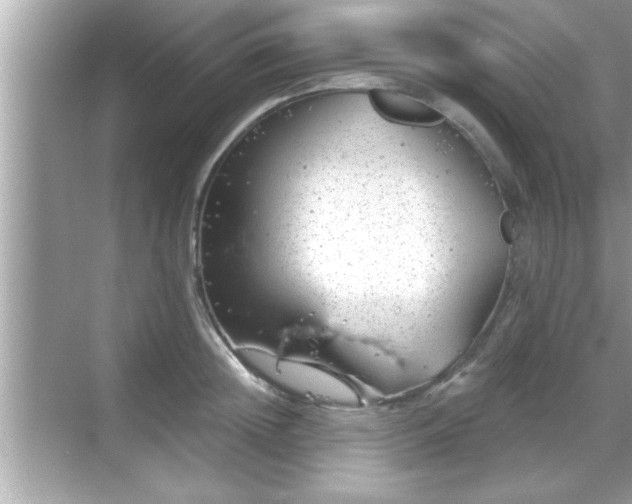 X0000069360852200605150914