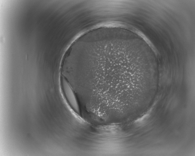 X0000069360853200605150914