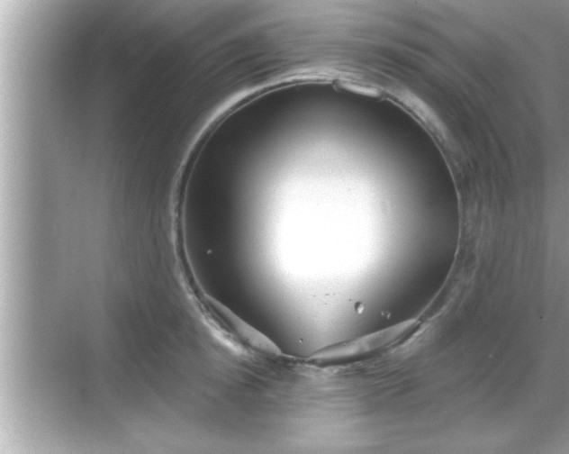 X0000069360854200605150914