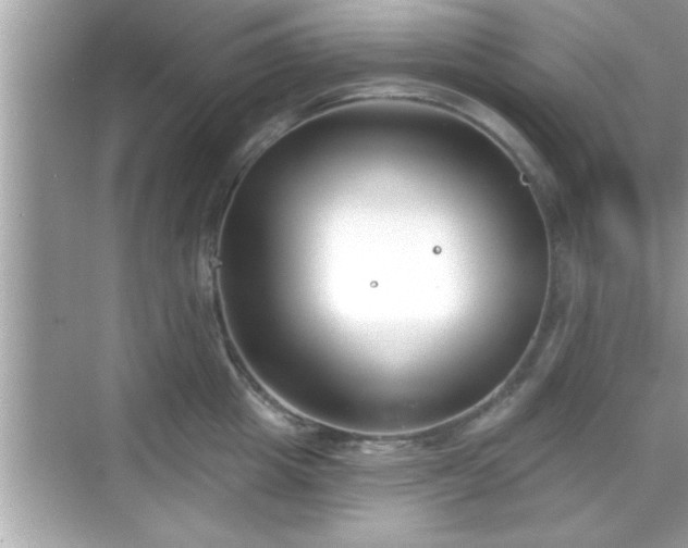 X0000069360857200605150915