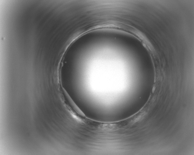 X0000069360858200605150915