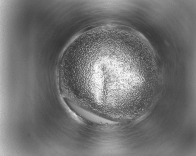 X0000069360859200605150915