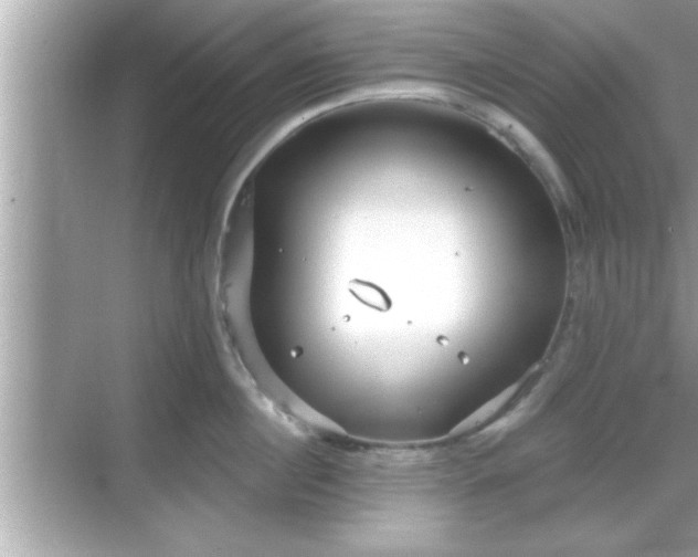 X0000069360860200605150915