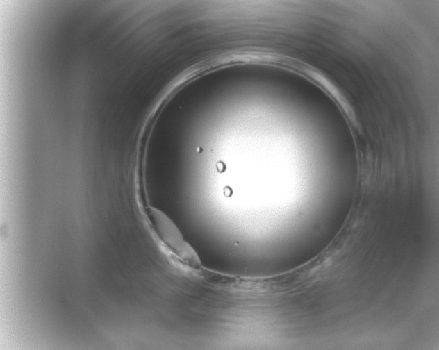 X0000069360861200605150915